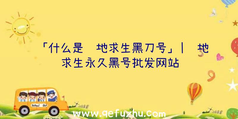 「什么是绝地求生黑刀号」|绝地求生永久黑号批发网站